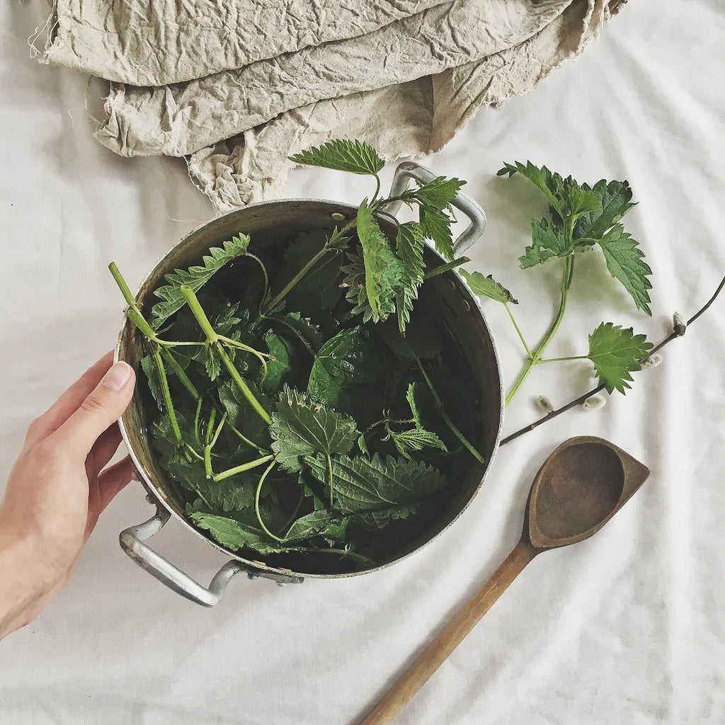 HOW TO DYE WITH PLANTS